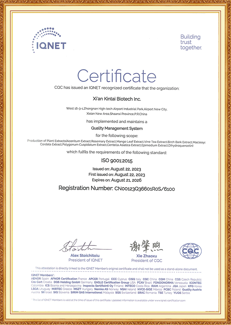 Kitai ISO 90012015 Certificate from IQNET.jpg